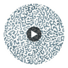 JAVA-SLATE-BLUE Circular Swatch | Franquemont London