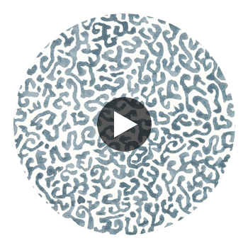 JAVA-SLATE-BLUE Circular Swatch | Franquemont London