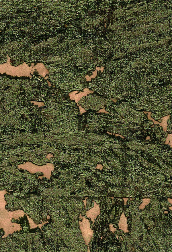 Metallic Cork II Black Gold | Greenland