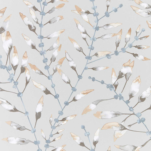 Chaconia chaconia-amber-slate-haw0095-02 | Harlequin