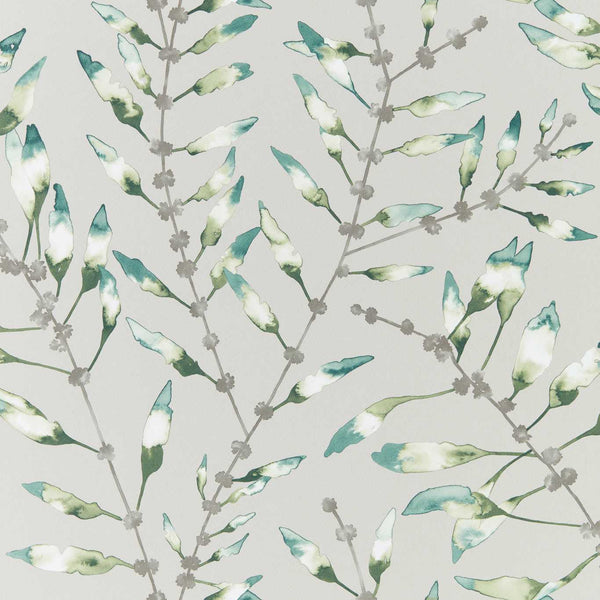 Chaconia chaconia-emerald-lime-haw0095-03 | Harlequin