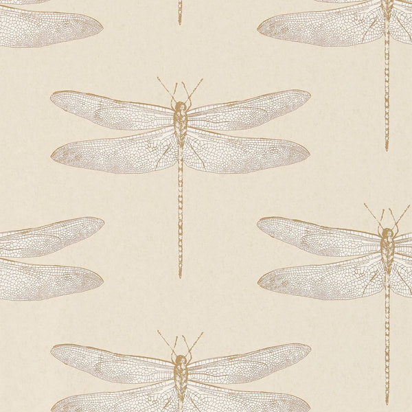 Demoiselle demoiselle-shell-haw0067-01 | Harlequin