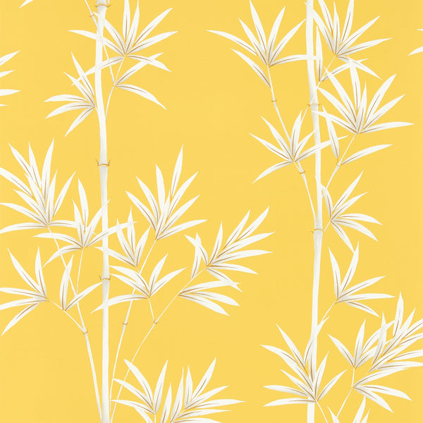 Isabella isabella-honey-porcelain-haw0241-02 | Harlequin
