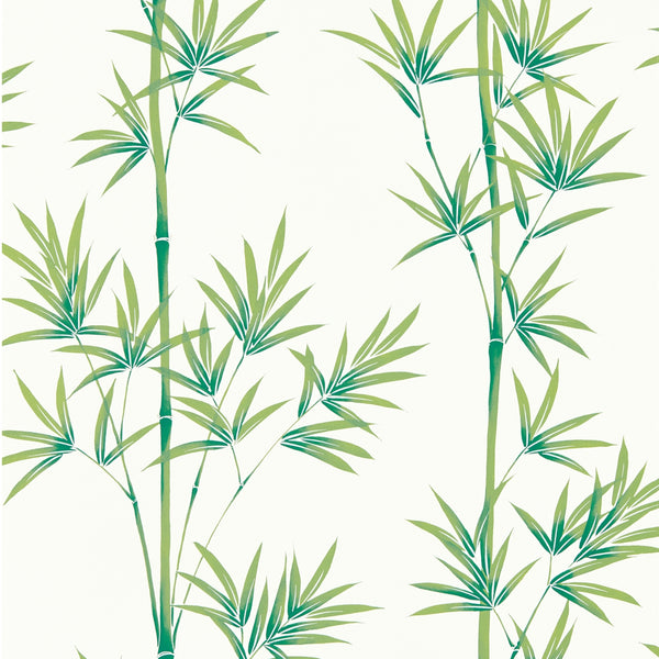 Isabella isabella-porcelain-bamboo-haw0241-03 | Harlequin