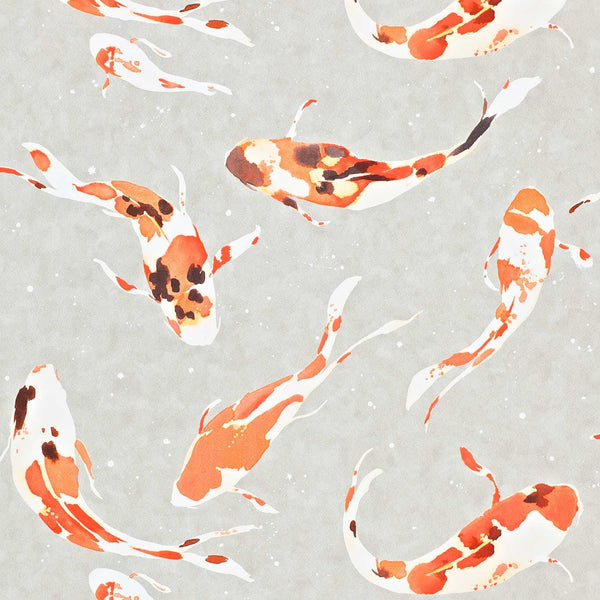 Koi koi-paprika-haw0040-04 | Harlequin