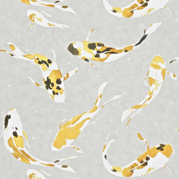 Koi koi-saffron-haw0040-02 | Harlequin