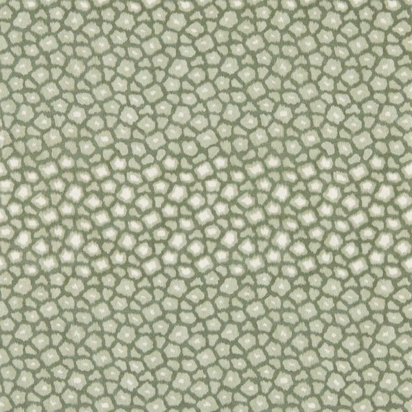 Loam loam-evergreen-haw0321-01 | Harlequin