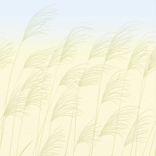 Miscanthus miscanthus-buttermilk-sky-haw0308-01 | Harlequin