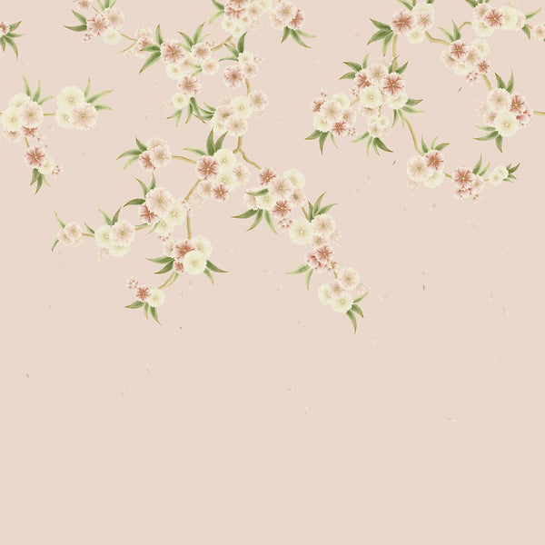 Rosa Blush Pearl/Peony/Meadow | Harlequin