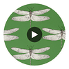 Spin swatch — Demoiselle Kelly First Light Blush — Harlequin