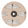 Spin swatch — Demoiselle Positano First Light Taupe — Harlequin