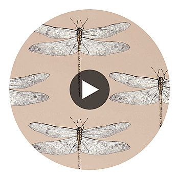 Spin swatch — Demoiselle Positano First Light Taupe — Harlequin
