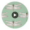 Spin swatch — Demoiselle Seaglass First Light Sand — Harlequin