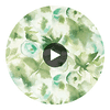 Spin swatch — Flores Clover Kelly Aqua — Harlequin