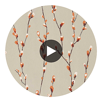 Spin swatch — Salice Tangerine Gilver — Harlequin