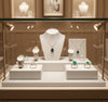 Jewelry display case in DWMJ-600002-Sample