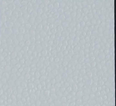 Metallic Paragon Silver
