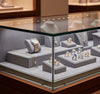 Jewelry display case in DWMJ-600010-Sample