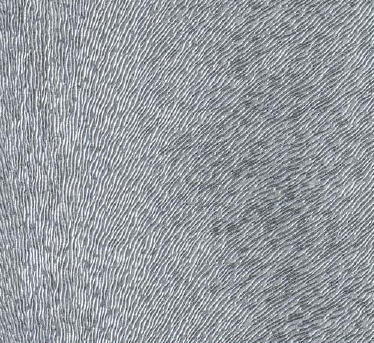 Pony Granite Grey