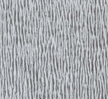Echo Silver/Black