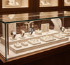 Jewelry display case in DWMJ-600041-Sample