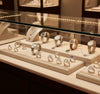 Jewelry display case in DWMJ-600061-Sample