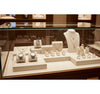 Jewelry display case in DWMJ-600066-Sample