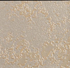 Sandwash Cream Gold — Majilite Nytek