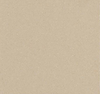 Vibes Eggshell Gold Stardust — Majilite Nytek