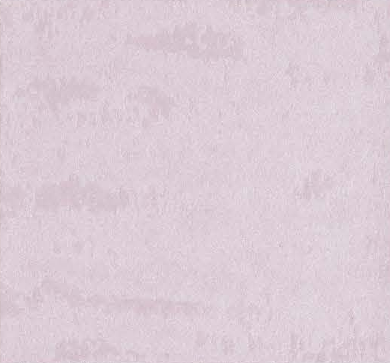 Chinchilla Blossom — Majilite Nytek