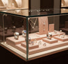 Jewelry display case in DWMJ-600128-Sample