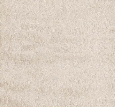 Chinchilla Wheat