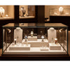 Jewelry display case in DWMJ-600135-Sample