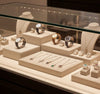 Jewelry display case in DWMJ-600136-Sample