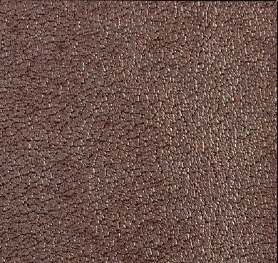 Burnished Metal Penny