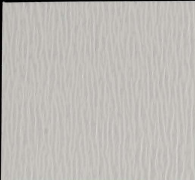 Echo White/Silver