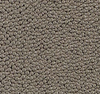 Stature Gold — Majilite Nytek