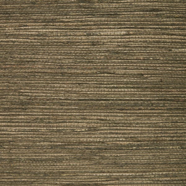 Asolo Grasscloth Wallcovering | Fentucci