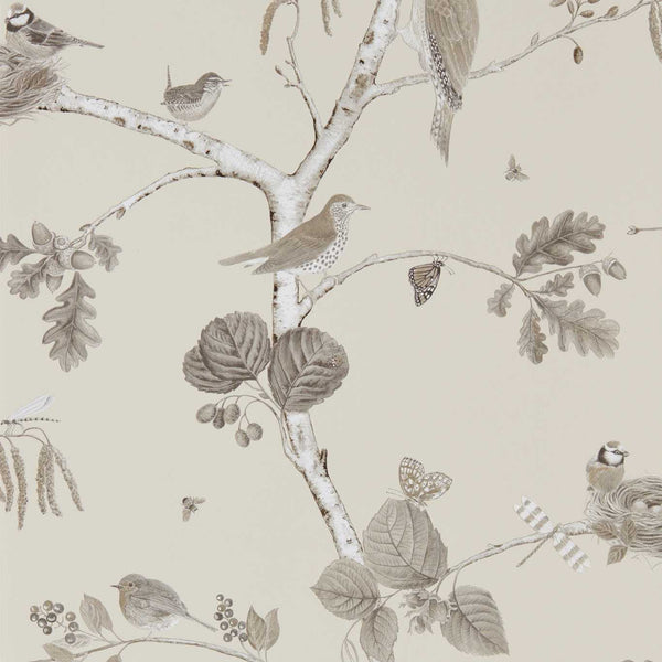 Woodland Chorus Sepia/Neutral | Sanderson