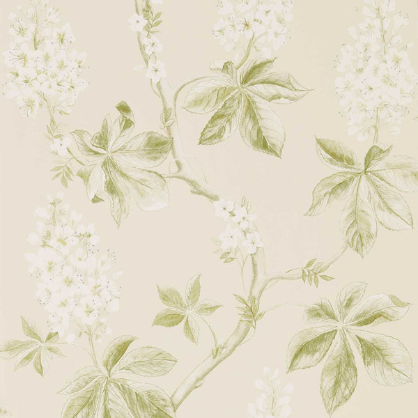 Chestnut Tree Lemon/Lettuce | Sanderson