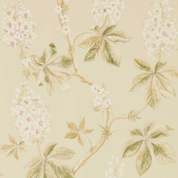 Chestnut Tree Coral/Bayleaf | Sanderson