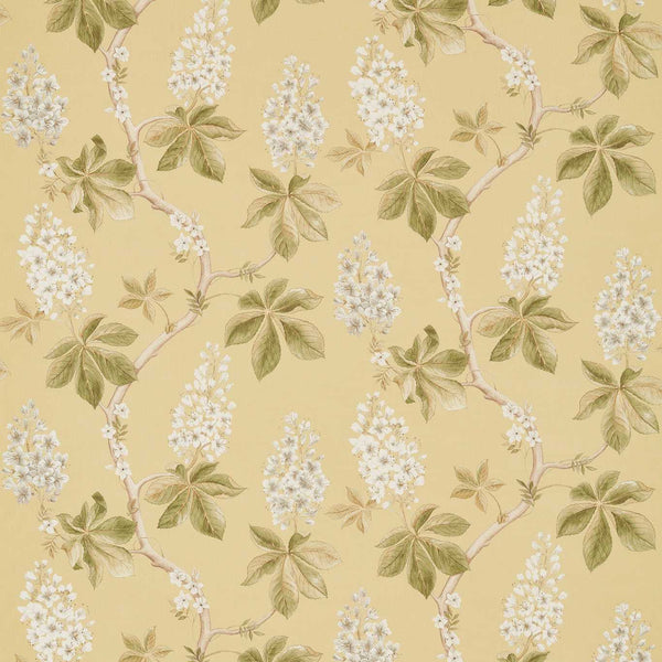 Chestnut Tree Lemon/Lettuce | Sanderson