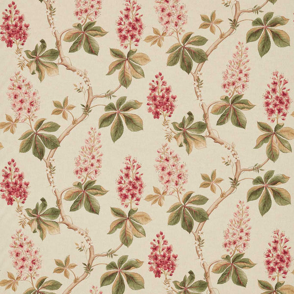 Chestnut Tree Coral/Bayleaf | Sanderson