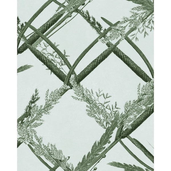 Ornamental Reed Wallpaper - Green Lake  | Mind The Gap