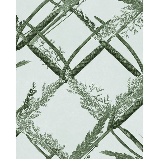 Ornamental Reed Wallpaper - Green Lake  | Mind The Gap