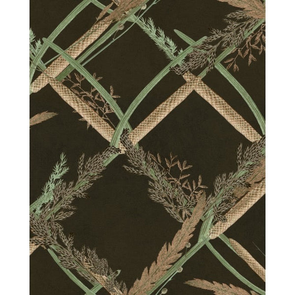 Ornamental Reed Wallpaper - Anthracite Black  | Mind The Gap