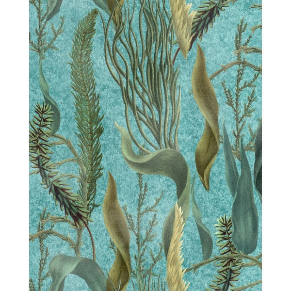 AQUATIC PLANTS Aquamarine Green Blue Wallpaper | Mind the Gap