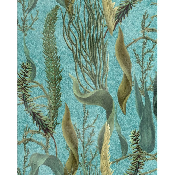AQUATIC PLANTS Aquamarine Green Blue Wallpaper | Mind the Gap