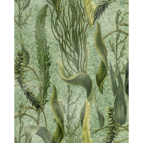 Aquatic Plants Green Wallpaper | Mind The Gap