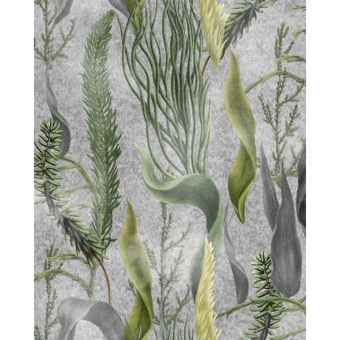 Aquatic Plants Grey Green Wallpaper | Mind The Gap